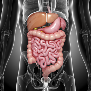 Gastrointestinal Disorders