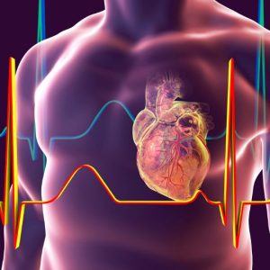 Cardiac Electrophysiology